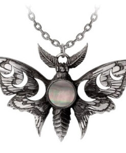 Alternative view of LUNAR MOTH